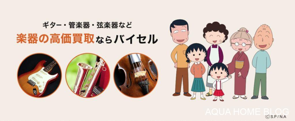 バイセル(楽器)